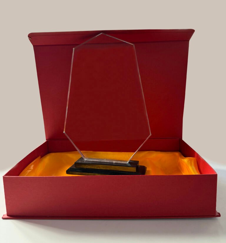 Trophy Cristal Laser